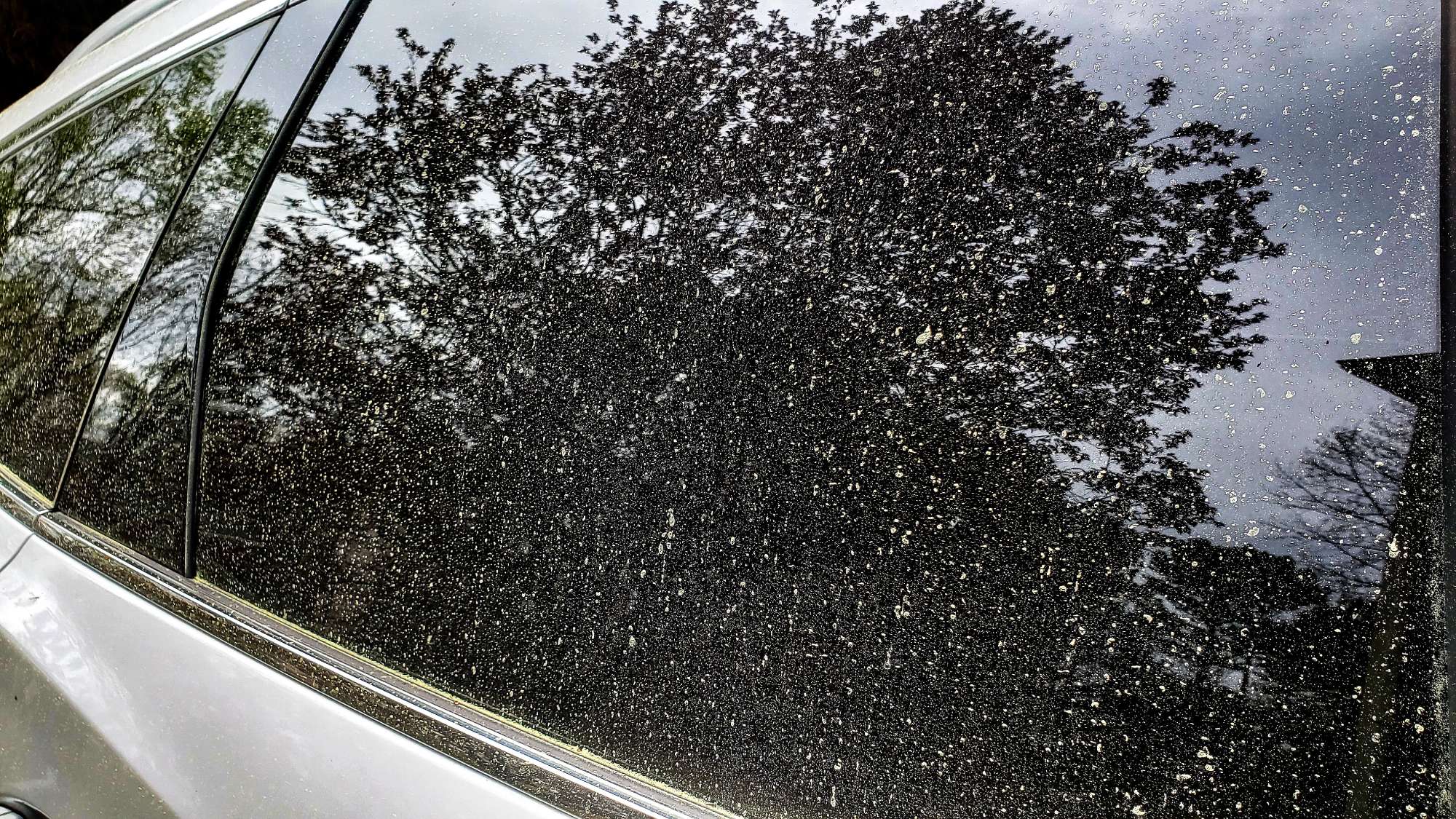 How The Car Wash Protects Your Vehicle From Pollen Buildup This Spring